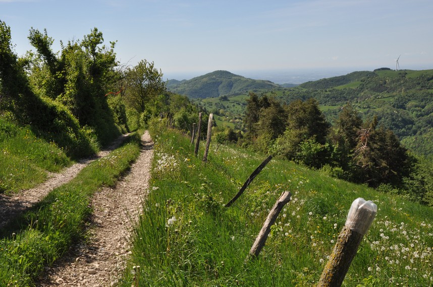Montefortiana Challenge Trail